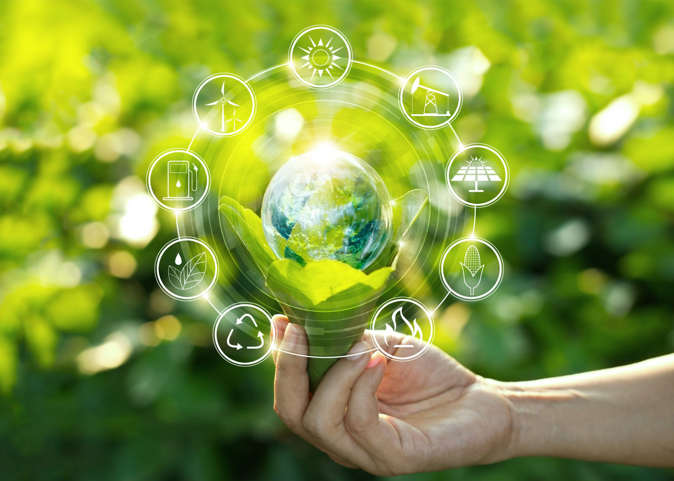 Self Photos / Files - Sustainability-scaled